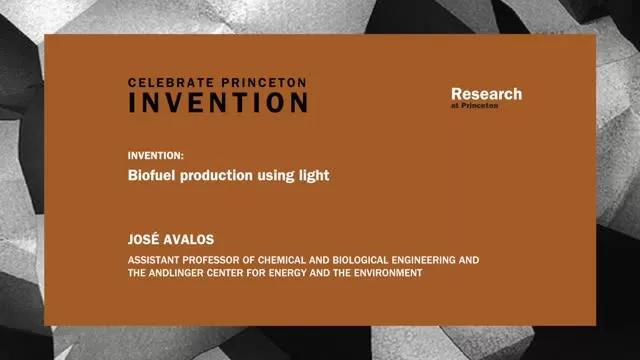 Biofuel production using light