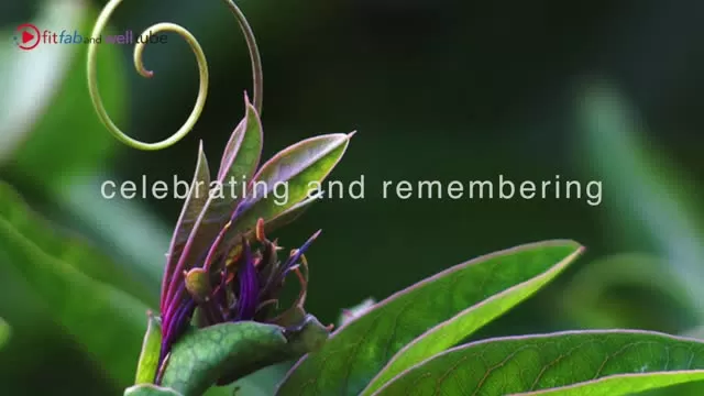I Am Grateful for - the Gift of Life! FitFabandWellTube.com