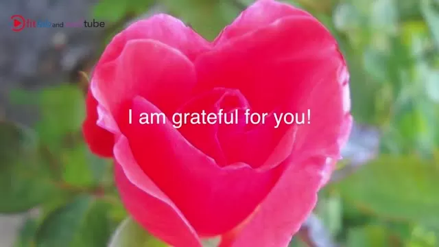 I am grateful - reality!