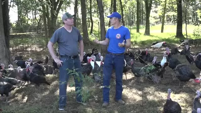 The Area's Best Turkeys - Double Brook Farm Turkeys @ Brick Farm Market