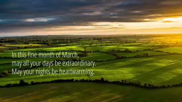 An Irish Blessing from StimulusBrand