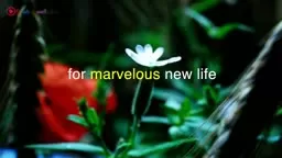 #minimeditation | I am grateful for | spring!