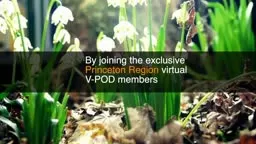 Exclusive Princeton Region V-POD - You can Join Now!
