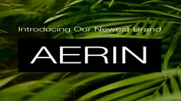 Hamilton for Business - Newest Collection Aerin