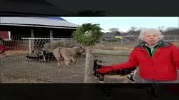 TURHUNE ORCHARDS during the Holidays, video by Robert Hummel