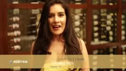 Happy Holidays from Addteq Amanda Deol!