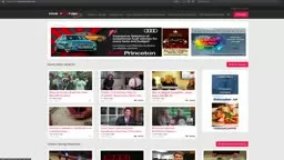 Calhensir property screen grab example of pre-roll ad before videos that play.