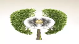 Kiss the Earth with your Feet. Planet Apothecary.