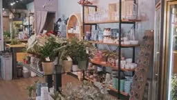 Princeton Floral Design - Square Spotlight