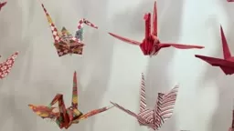 Princeton Paper Crane Project