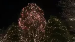 Palmer Square- Princeton- New Jersey Happy New Year