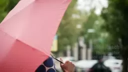 Arts Council of Princeton's Taking Pause Project