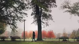 Rider University Free to Roam