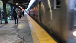 Princeton Dinky, Amtrak, & NJT at Princeton Junction