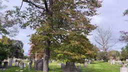 Trenton's (Haunted) History