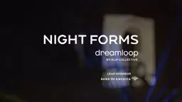 Night Forms dreamloop Grounds for Sculpture