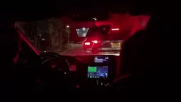 Night out at Grounds for Sculpture Hamilton, NJ!!