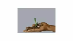 Save energy save $ Nest tHermostat @PrincetonAir