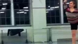 Behind the Scenes of Princeton University Ballet  NUTZ!