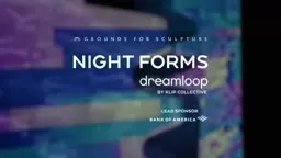 Night Forms dreamloop by Klip Collective Exhibition extended to April 3