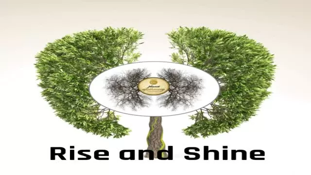 Mary Jane Master of My Domain. Planet Apothecary