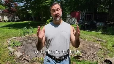 VeggieGarden