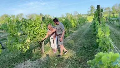 The Wine. Sourland Festival Host Unionville Vineyards GM John Cifelli