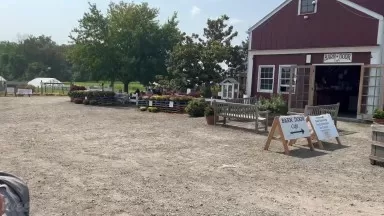 Terhune Orchards Vineyard and Winery Walkthrough in Princeton New Jersey