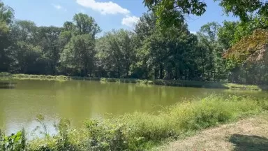 The Institute for Advanced Study [4K] Ambient Walk in Princeton, NJ
