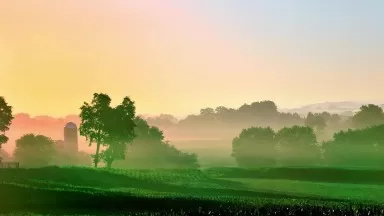 Rue Insurance Over 100 years