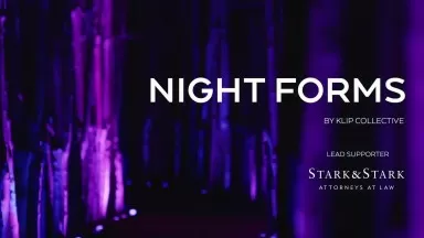 Exclusive Video! NIGHT FORMS Grounds for Sculpture Feat. Exclusive Scenes and the Creator!