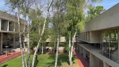 Institute for Advanced Study