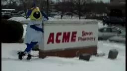 Boomer visits ACME Markets in Hamilton!