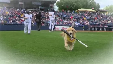 Trenton Goldens Take the Field in 2024  Trenton Thunder