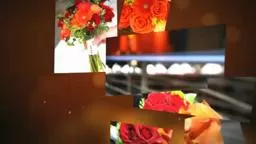 The Fire of Orange