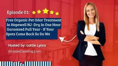 Pet Odor Treatment In Hopewell NJ