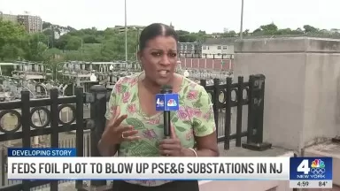Feds bust alleged plot to blow up PSEG substations in New Jersey  NBC New York