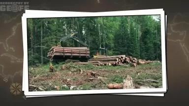 Why This Massive City Is Hiding In New Jersey