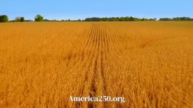 America250 Happy 250th Birthday America