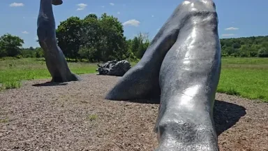 The Giant Awakens Exploring St Michaels Preserve Hopewell, NJ Local Farm