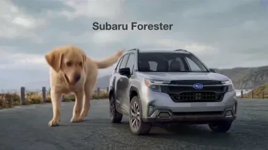 BIG LOVE FOR THE SUBARU FORESTER Haldeman Subaru