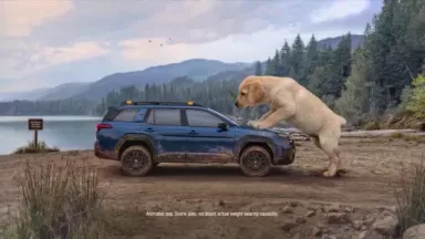@Haldeman Subaru 'Best Overall Automotive Brand' for the second year in row CONSUMER REPORTS