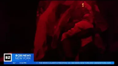 Halloween house in New Jersey offers plenty to scream about