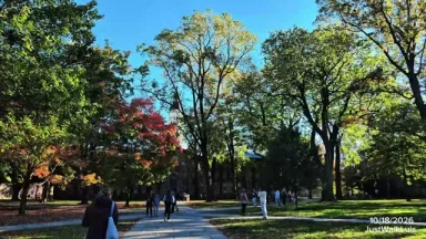Princeton University (Ivy League)  Sunny Autumn Sunday Walk 4K POV ????