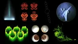 Art of Science