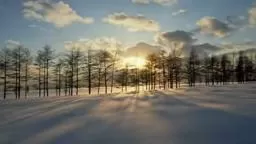 Peaceful Meditation Music with Inspirational Quotes.