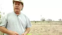 Planting Perrenial Flowers.