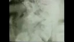 Albert Einstein: How I See the World (Part 5 of 6)‬