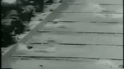 1964 Lesley Bush, Olympic Gold Medalist, Princeton. Amazing.