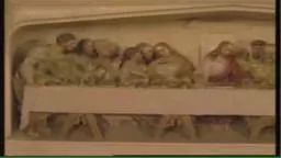 History of Easter